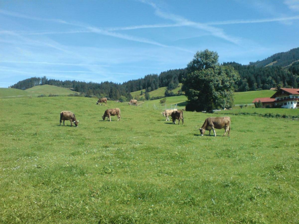 Ferienhof Alfred Albrecht Oberstdorf Luaran gambar