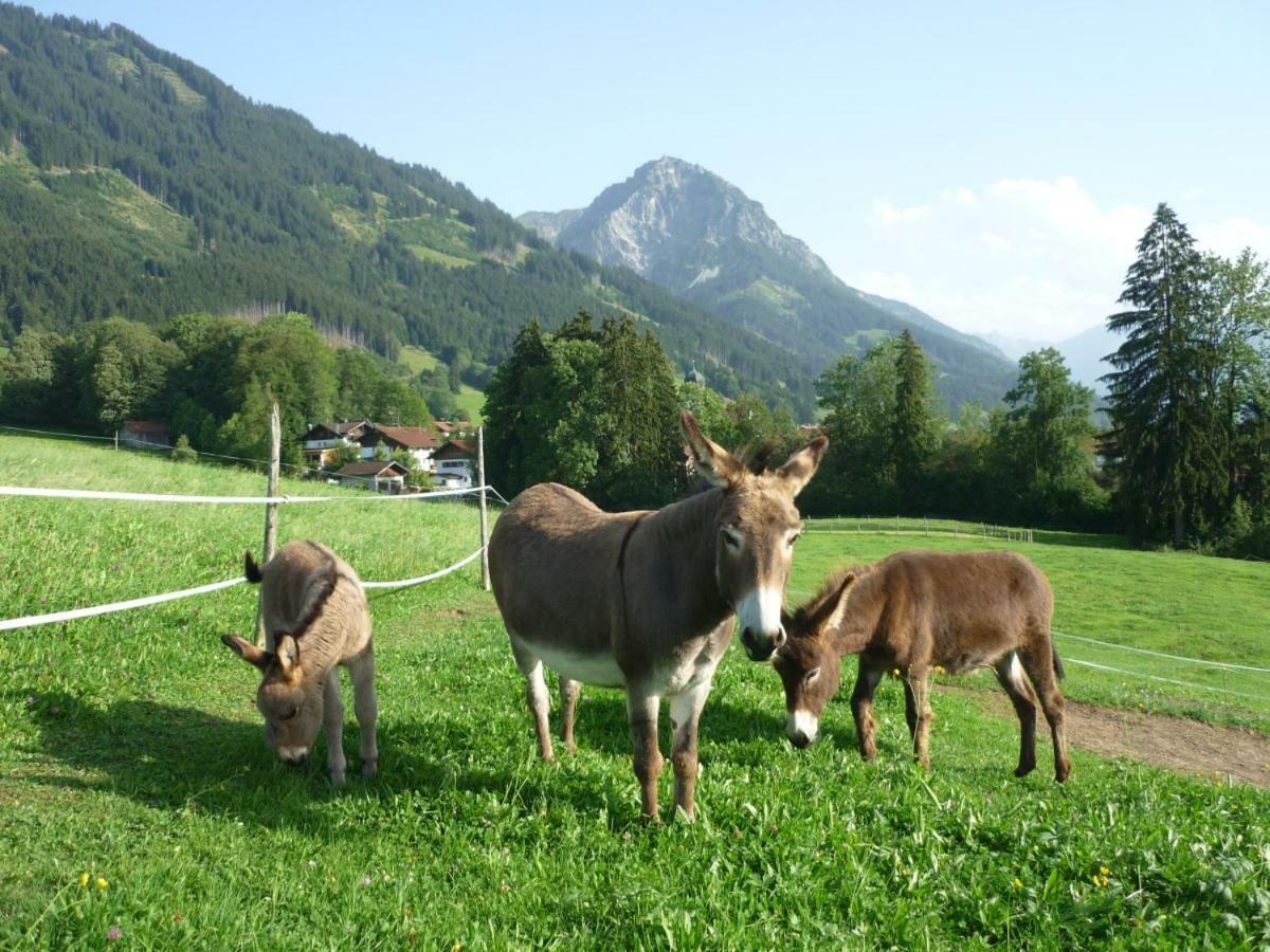 Ferienhof Alfred Albrecht Oberstdorf Luaran gambar